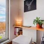 Rent 2 bedroom apartment in Olomouc