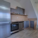 Rent 4 bedroom apartment of 164 m² in Miřetice