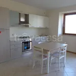 Rent 2 bedroom apartment of 40 m² in Treia