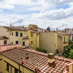 Rent 1 bedroom apartment in Florence