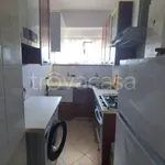 Rent 3 bedroom apartment of 80 m² in Cesate