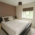 Property to rent in Ockley Court, Burpham, Guildford GU4