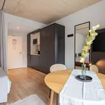 Rent 1 bedroom apartment of 237 m² in Dusseldorf