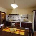 Rent 2 bedroom apartment of 50 m² in Petrosino