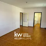 Rent 3 bedroom apartment of 72 m² in Prague