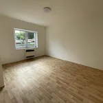 Rent 1 bedroom apartment of 43 m² in Kolín