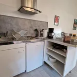 Rent 1 bedroom apartment of 25 m² in Grenoble