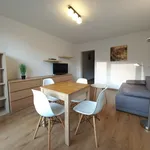 Rent 1 bedroom apartment of 33 m² in Chorzów