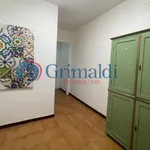 Rent 2 bedroom apartment of 60 m² in Palermo