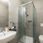 Rent 1 bedroom apartment in Prague