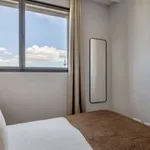 Alquilo 2 dormitorio apartamento de 75 m² en madrid