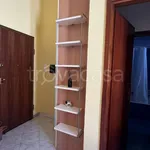 Rent 1 bedroom apartment of 35 m² in Torino