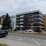 Rent 2 bedroom apartment of 43 m² in Nowy Sącz