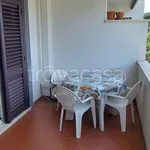 Rent 2 bedroom apartment of 52 m² in Cerveteri