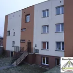 Rent 2 bedroom apartment of 65 m² in Zabrze