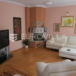 Rent 8 bedroom house of 600 m² in Zagreb