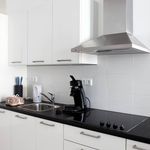 Rent 1 bedroom apartment of 45 m² in Den Haag