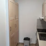 Rent 2 bedroom apartment of 43 m² in Prague