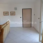 Rent 3 bedroom apartment of 80 m² in Brindisi