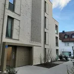 Rent 1 bedroom apartment of 30 m² in München