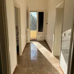 Rent 3 bedroom apartment of 100 m² in Bibbona