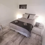 Rent 2 bedroom apartment in Lyon