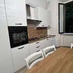 Rent 2 bedroom apartment of 50 m² in Somma Lombardo