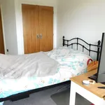 Rent 2 bedroom apartment in Colchester