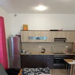 Rent 1 bedroom apartment in České Budějovice