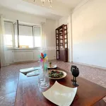 Rent 3 bedroom apartment of 100 m² in Velletri