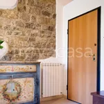 Rent 1 bedroom apartment of 38 m² in Firenze