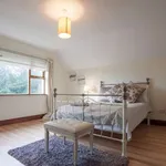 Rent a room of 350 m² in dublin