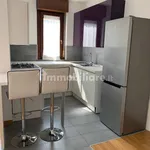 Rent 2 bedroom apartment of 55 m² in Monza