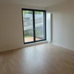 Rent 1 bedroom apartment of 32 m² in  ulice Neumannova