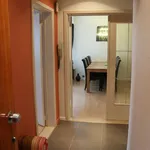 Rent 1 bedroom apartment in Antwerp