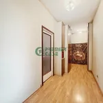 Rent 1 bedroom apartment of 25 m² in Turin