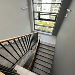 Rent 2 bedroom apartment of 49 m² in Poznan