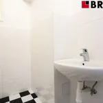 Rent 1 bedroom apartment in Brno