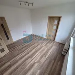 Pronájem bytu 2+1 44m²