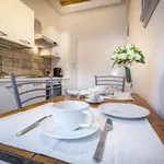 Rent 1 bedroom apartment of 65 m² in florence