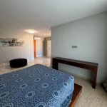 Rent 2 bedroom apartment of 155 m² in Málaga