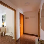 Alquilar 4 dormitorio apartamento en Valencia