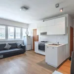 Rent 2 bedroom apartment of 41 m² in Capital City of Prague