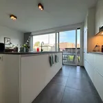 Rent 3 bedroom house in Aalst