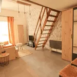 Rent 1 bedroom apartment of 30 m² in Charenton-le-Pont