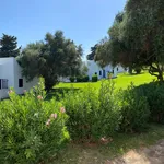 Rent 1 bedroom apartment of 44 m² in Tavira