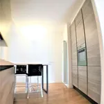 Rent 3 bedroom apartment of 115 m² in Milan