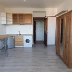 Rent 1 bedroom apartment of 25 m² in Prague