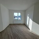 Rent 2 bedroom apartment in Plzeň