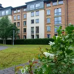 Rent 1 bedroom apartment in York